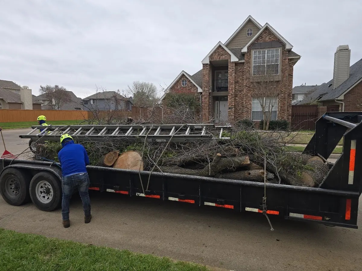 Expert Lot Clearing with proper safety equipment in Zion